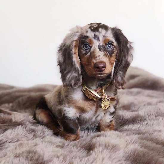 WINCHES(female) (17)