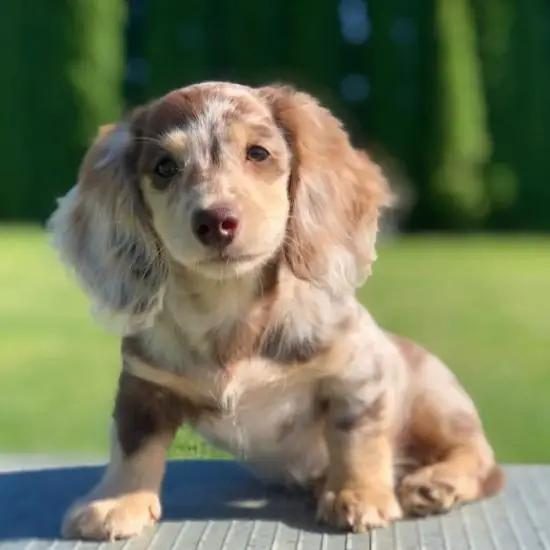 WhatsApp Image 2025-05-10 at 08.47.24 (12)