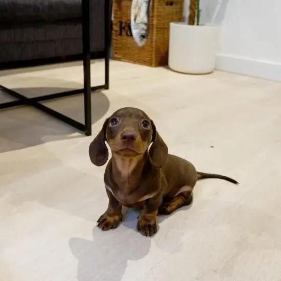 WhatsApp Image 2025-05-10 at 08.47.24 (3)