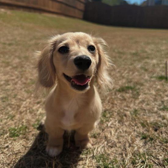 WhatsApp Image 2025-05-20 at 10.40.53 (1)