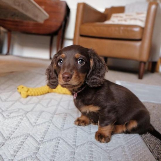 WhatsApp Image 2026-03-25 at 8.25.07 AM